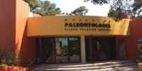 Celebrarán 9° Aniversario del Museo de Paleontología