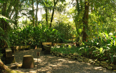 Jardín Botánico Faustino Miranda