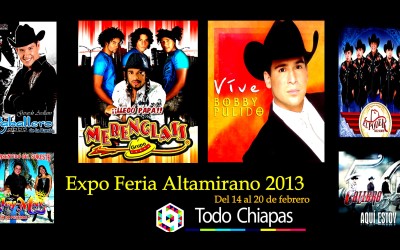 Expo Feria Altamirano 2013