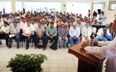 Promueve Chiapas Verde al Café, como “Producto estratégico” para el desarrollo estatal