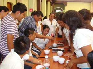 Concluye exitosamente  el taller “Control y calidad del café” en el Museo del Café