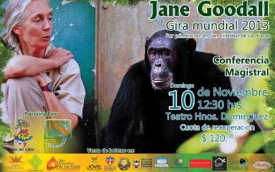 Jane Goodall estará en San Cristóbal de las Casas