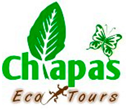 Chiapas Eco-Tours
