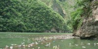 Urge solucionar problema de contaminación del río Grijalva en Chiapas
