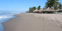 Reforestarán más de 5 km de playa en Chiapas