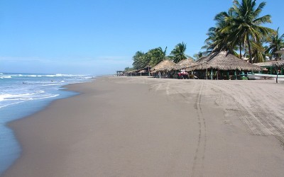Reforestarán más de 5 km de playa en Chiapas