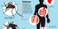 146 casos confirmados de Chikungunya en Chiapas