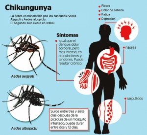 Instan-a-eliminar-aguas-estancadas-para-evitar-Chikungunya1