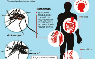 146 casos confirmados de Chikungunya en Chiapas