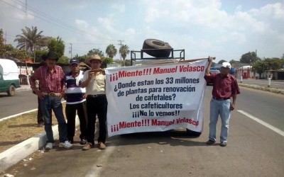 Demandan productores de café apoyo para el campo en Chiapas