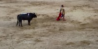 Realizarán foro sobre tauromaquia en SCLC