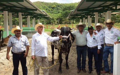 En Chicomuselo el gremio ganadero va con Toño Figueroa