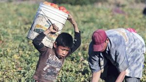 Chiapas, de los estados con mayor trabajo infantil: CNDH