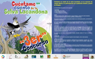 Concurso: Cuéntame un cuento de la Selva Lacandona