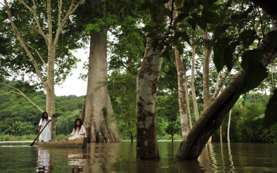 La Selva Lacandona