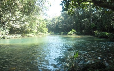 Más apoyos a los Centros Ecoturísticos de Palenque