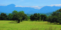 Sierra Madre de Chiapas | Foto: Gambada