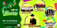 Feria Carnaval Villacorzo 2014