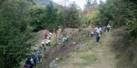 Ciudadanos organizados invitan a reforestar predio Quenvó-Cuxtitali